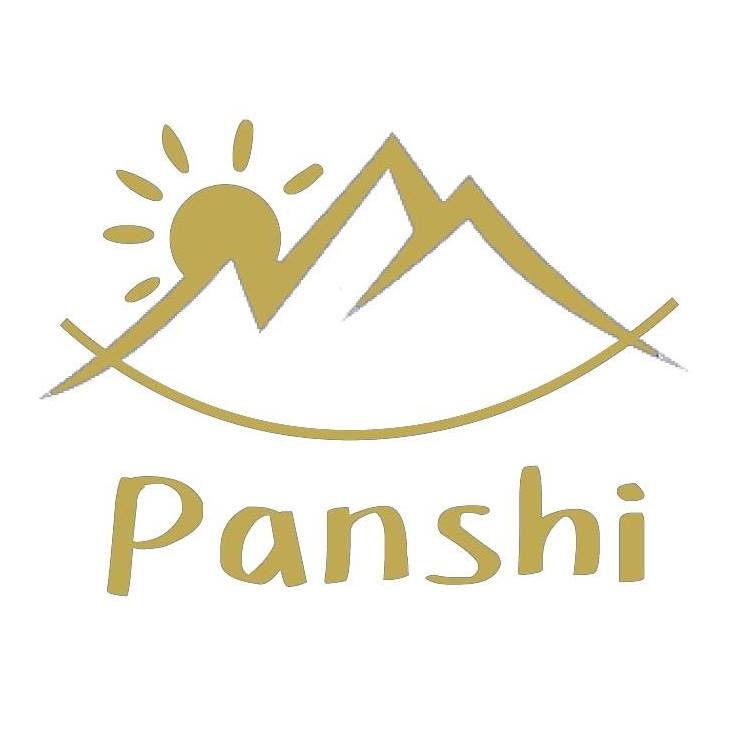 Panshi-logo.jpg